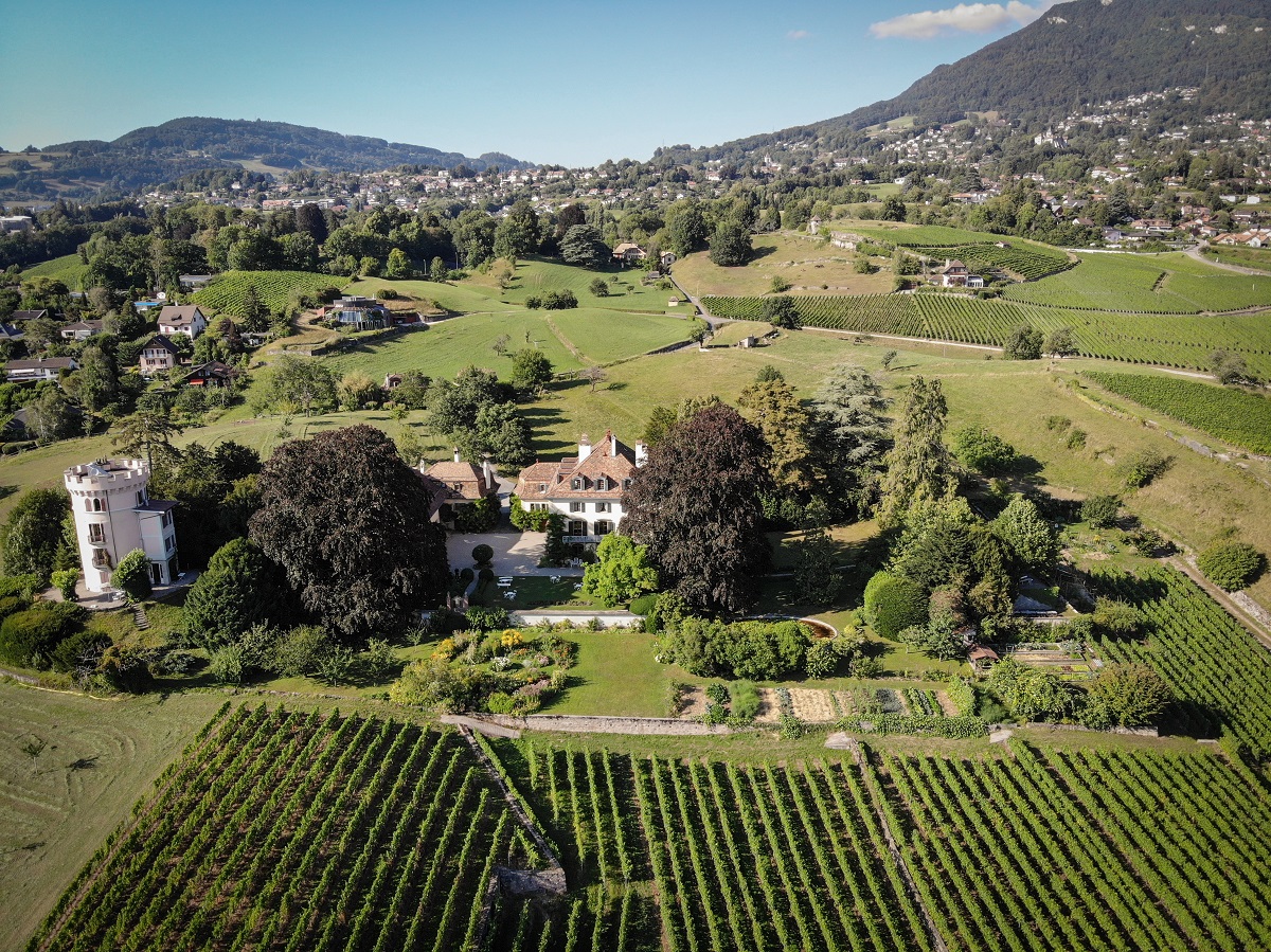 Les jardins et le vignobles sont aussi un ravissement pour les visiteurs. Photo : Jeremy Bierer, 2020
